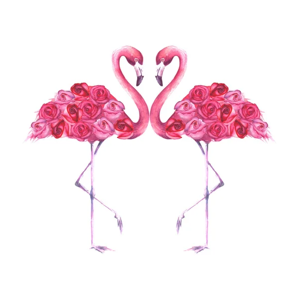 Aantal tropische exotische roze flamingo 's — Stockfoto