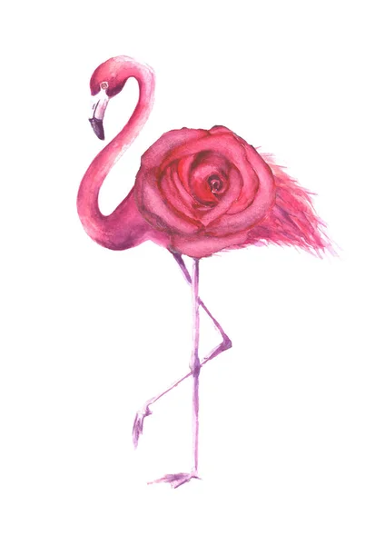 Tropiska exotiska fågel rosa flamingo — Stockfoto