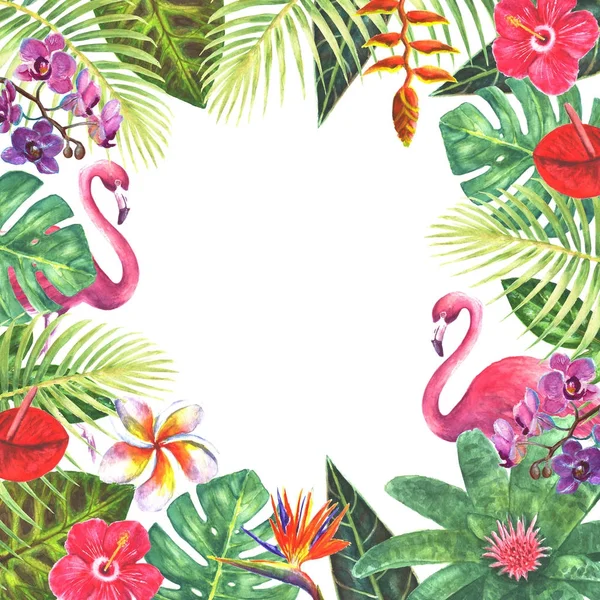 Rosa Flamingo tropischen Pflanzen Rahmen — Stockfoto