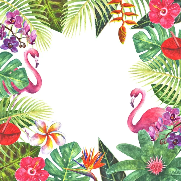 Pink flamingo tropical plants frame