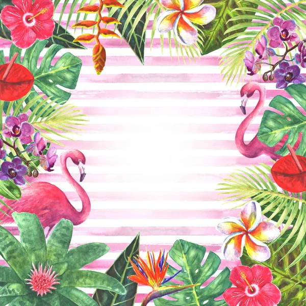 Cadre de plantes tropicales flamant rose — Photo