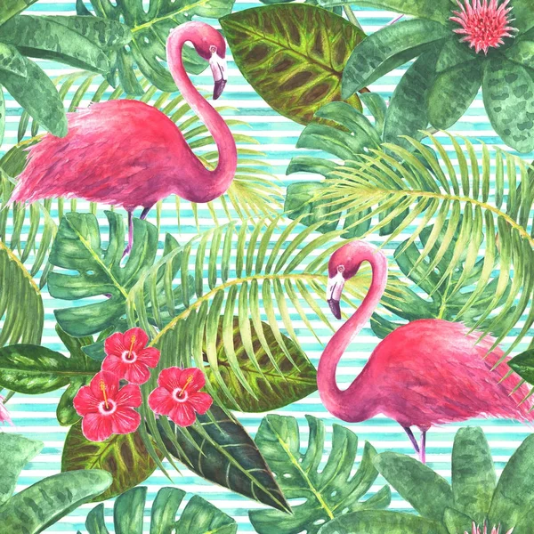 Summer tropical exotic background — Stock Photo, Image