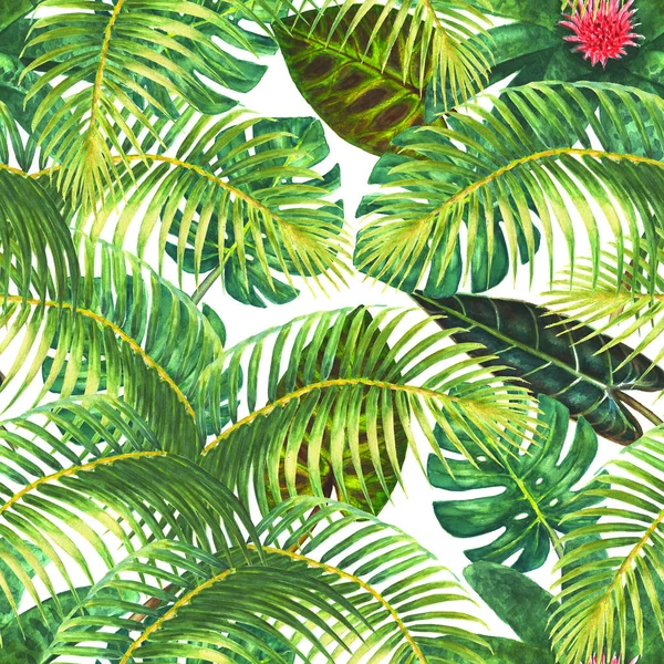 Tropical exotic seamless pattern — Stock Photo, Image