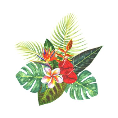 Egzotik tropik çiçekler buket