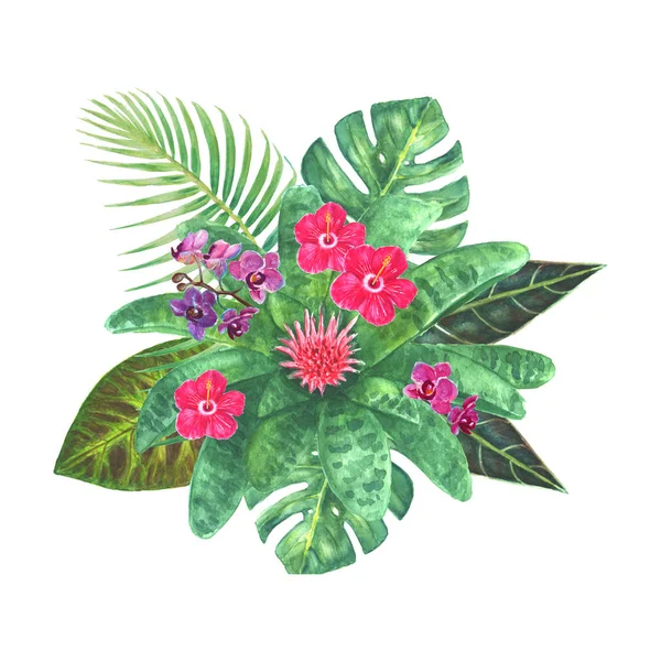 Букет экзотических тропических цветов — стоковое фото