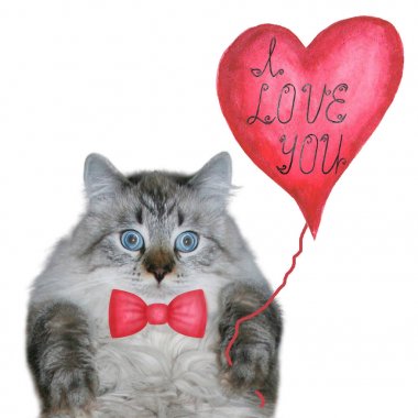 Sevgililer günün kutlu olsun.. 