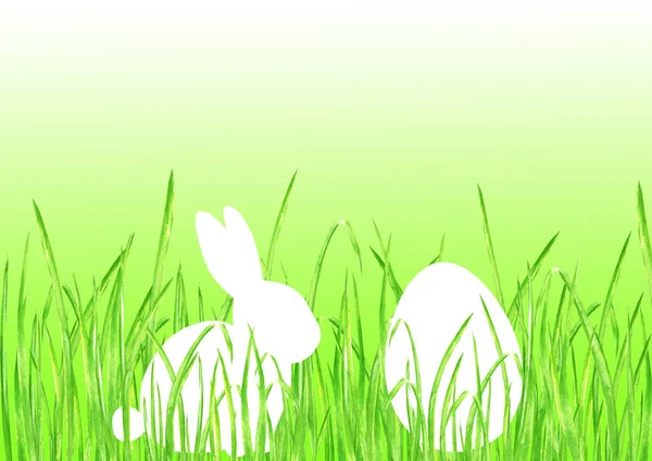 Easter bunny egg background — Stock Photo, Image