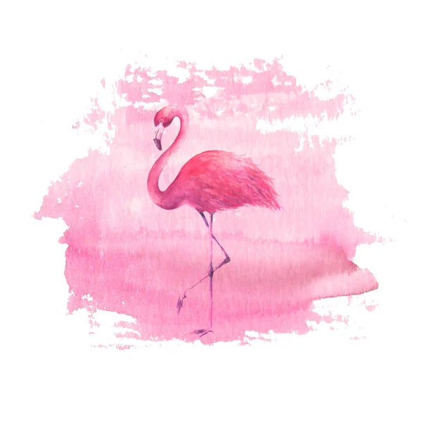 Flamingo auf Aquarell rosa Fleck Hintergrund — Stockfoto