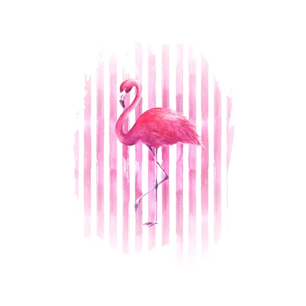 Flamingo sobre fondo rayado rosa acuarela — Foto de Stock