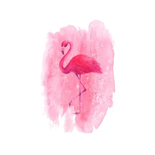 Flamingo auf Aquarell rosa Fleck Hintergrund — Stockvektor