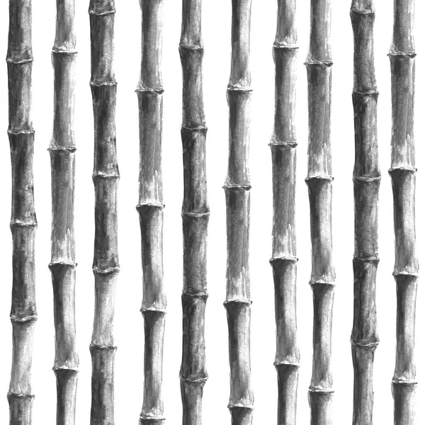 Czarno-biały wzór bambusa — Zdjęcie stockowe