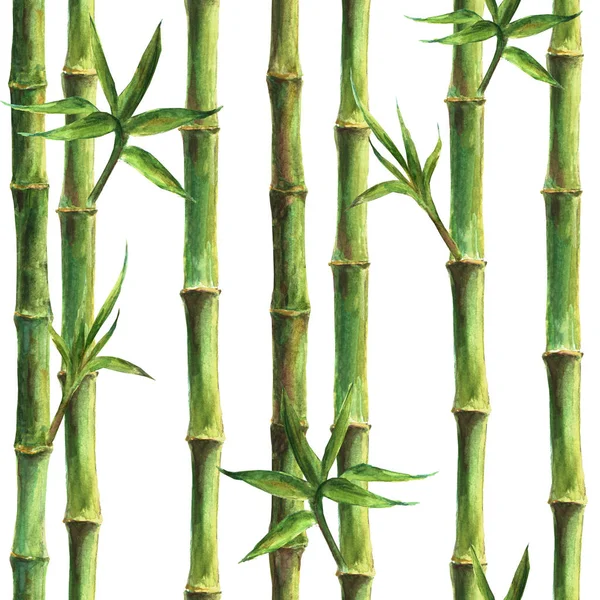 Grön bambu stjälkar och blad sömlösa mönster — Stockfoto