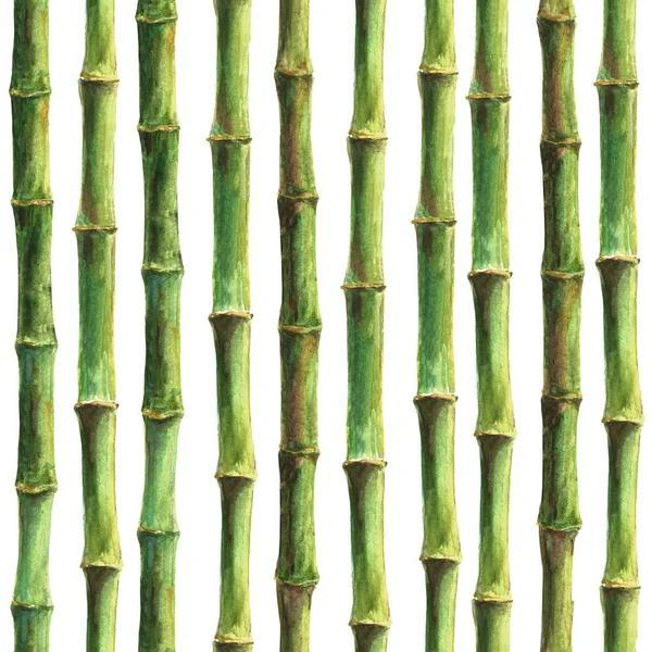 Patrón sin costura de tallos de bambú verde —  Fotos de Stock