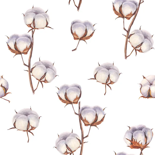 Coton fleur eco bourgeons branches motif sans couture — Photo