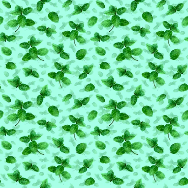 Hierba de menta patrón inconsútil especia sobre fondo verde azulado —  Fotos de Stock