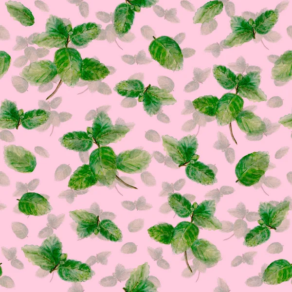 Menthe épices aux herbes motif sans couture sur fond rose — Photo