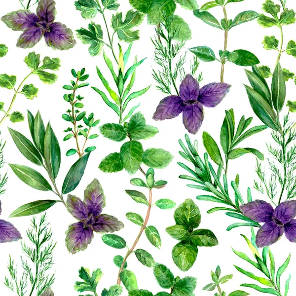 Kruiden specerijen aquarel groene naadloze patroon — Stockfoto