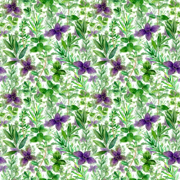Herbs spices watercolor green seamless pattern