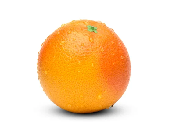 Mokré krásná grapefruitu na bílém pozadí, samostatný — Stock fotografie