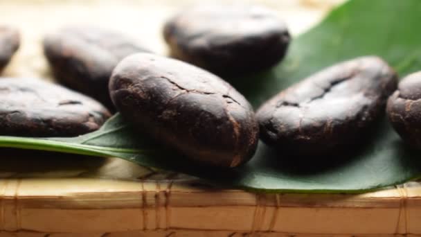 Sluiten Van Geroosterde Cacaobonen — Stockvideo