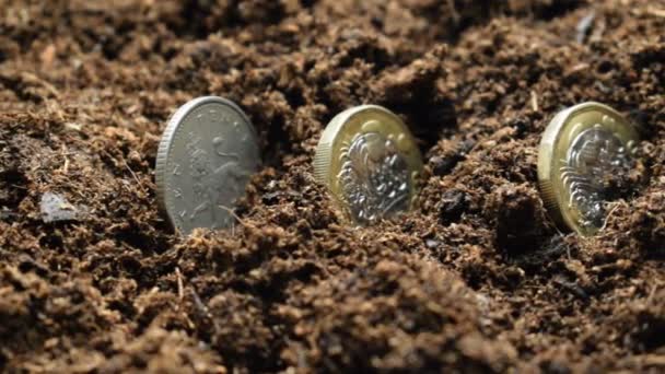 Британские Фунтовые Монеты Посеянные Земле — стоковое видео