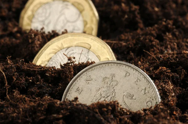 地面に蒔かれた英国ポンド硬貨 — ストック写真