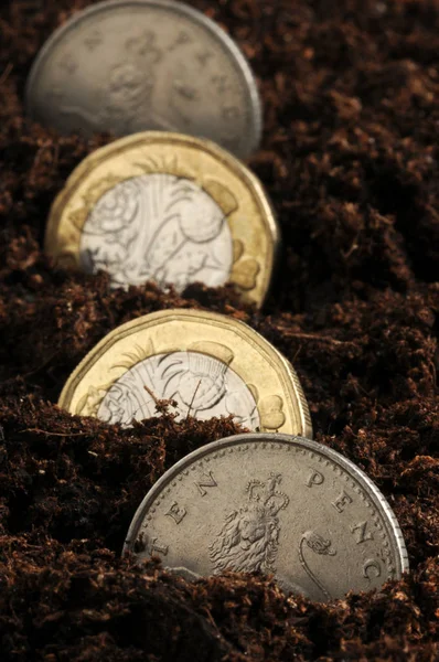 地面に蒔かれた英国ポンド硬貨 — ストック写真