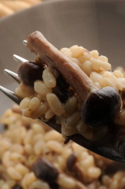 Çatallı kavak mantarlı risotto.