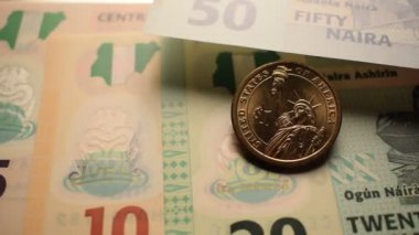 Nijeryalı Naira 'ya Amerikan Doları