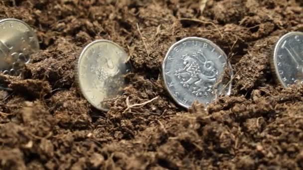 Monete Della Repubblica Ceca Seminate Nel Terreno — Video Stock