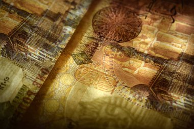 Mısır para biriminin şeffaflık açısından yakınlaştırılması