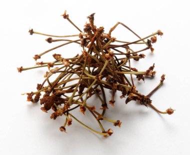 Cherry stalks for herbal teas clipart