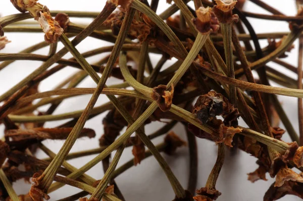 Tallos Cereza Para Tés Hierbas —  Fotos de Stock