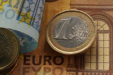 Banknotlarda bir avro.