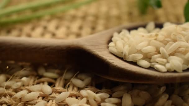 Close Arborio Rice — Stock Video