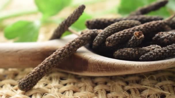 Close Long Pepper — Stock Video