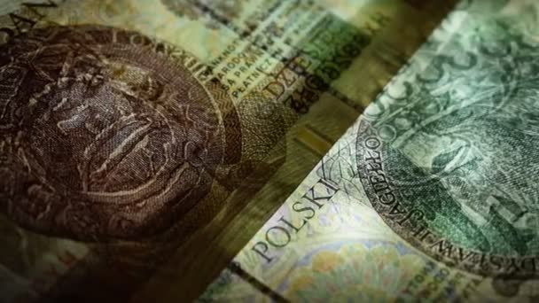 波兰货币的透明度 — 图库视频影像