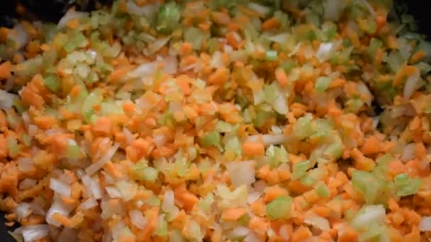 Preparing Fried Vegetables Bolognaise Sauce — Stock Video