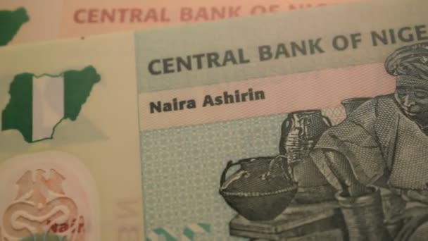 Nah Dran Nigerianischen Banknoten — Stockvideo