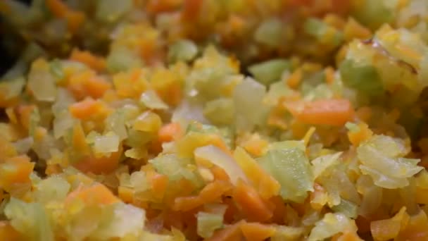 Preparación Verduras Fritas Para Salsa Boloñesa — Vídeo de stock