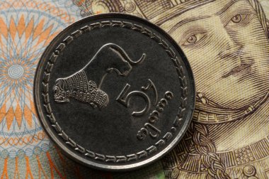 Gürcistan banknotu ve madeni paraya yakın çekim