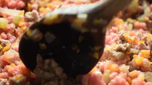 Cozinhar Carne Picada Com Legumes Para Molho — Vídeo de Stock