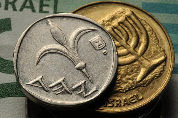 Primer Plano Moneda Israelí — Foto de Stock