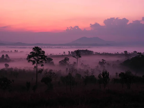 Sonnenaufgang in der Landschaft mit Nebel am Thung Salaeng Luang National pa — Stockfoto