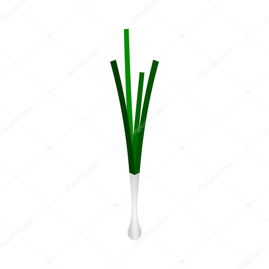 Green spring onion isolated on white background. Fresh green raw onion rich in vitamin C and calcium. Healthy food concept. Scallion vegetable realistic icon. Vector illustration, flat style, clip art