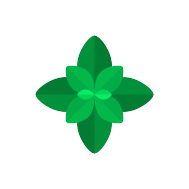 Fesleğen ya da nane yaprağı ikonu. Beyaz arka planda yeşil nane ya da fesleğen yaprakları. Aromatik aromalı bitkiler lezzet katmak için. Yiyecek dekorasyonu için soyut fesleğen ağacı sembolü. Vektör illüstrasyonu, düz, klip sanatı.