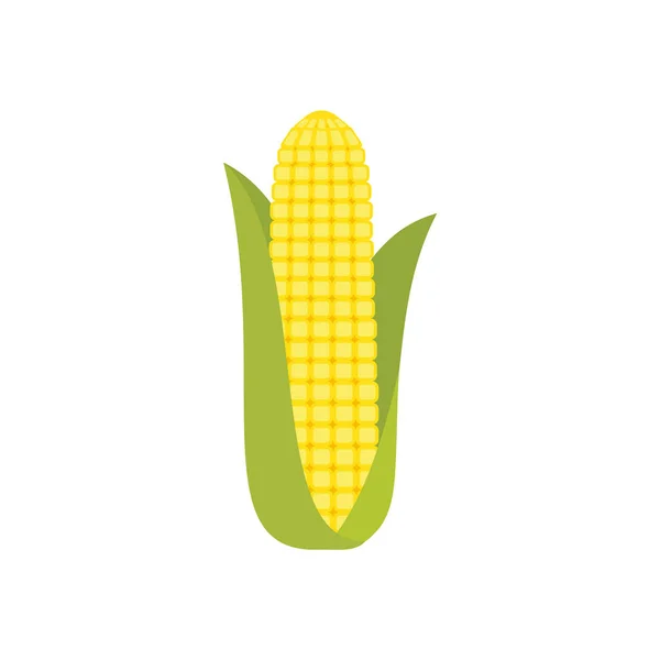 Кукурузный Початок Зеленой Оболочке Изолирован Белом Фоне Золотая Кукуруза Ухо — стоковый вектор