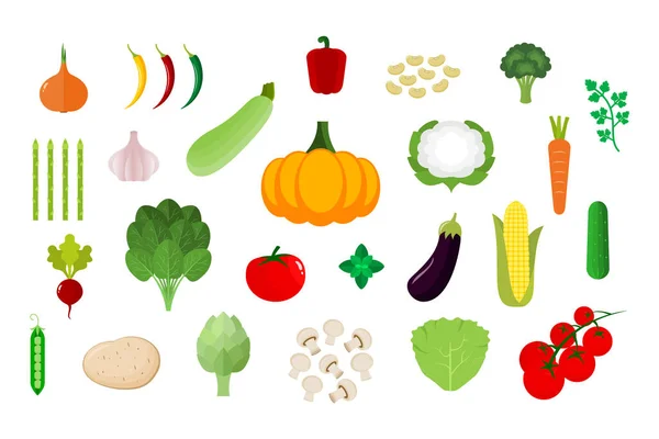 Conjunto Verduras Diferente Colección Vegetales Coloridos Productos Agrícolas Frescos Aislados — Archivo Imágenes Vectoriales