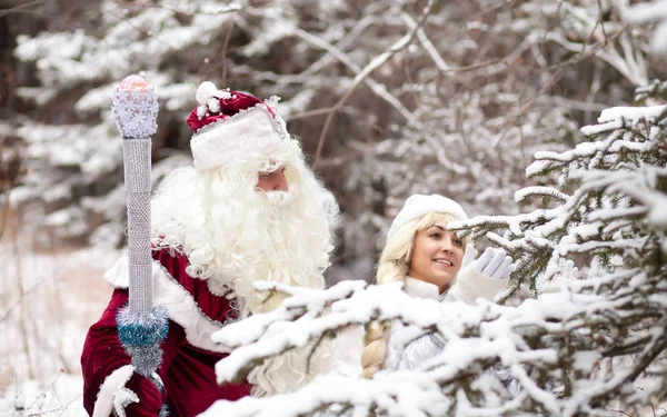 Bizim Noel baba olacak