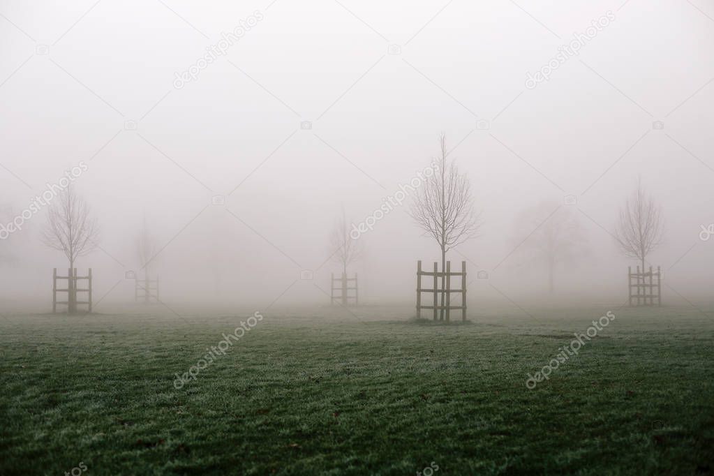 Fog on cold winter morning